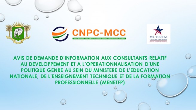 Avis de demande d&#039;informations aux Consultants pour l&#039;opérationnalisation d&#039;une Politique Genre au sein du MENETFP